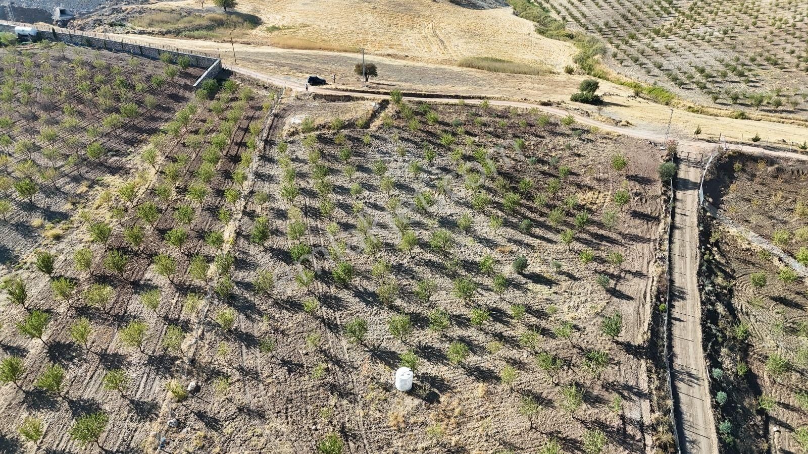 Hakev'den Ana Yola Yakın Mesafede Bahçe Satılıktır - Görsel 2