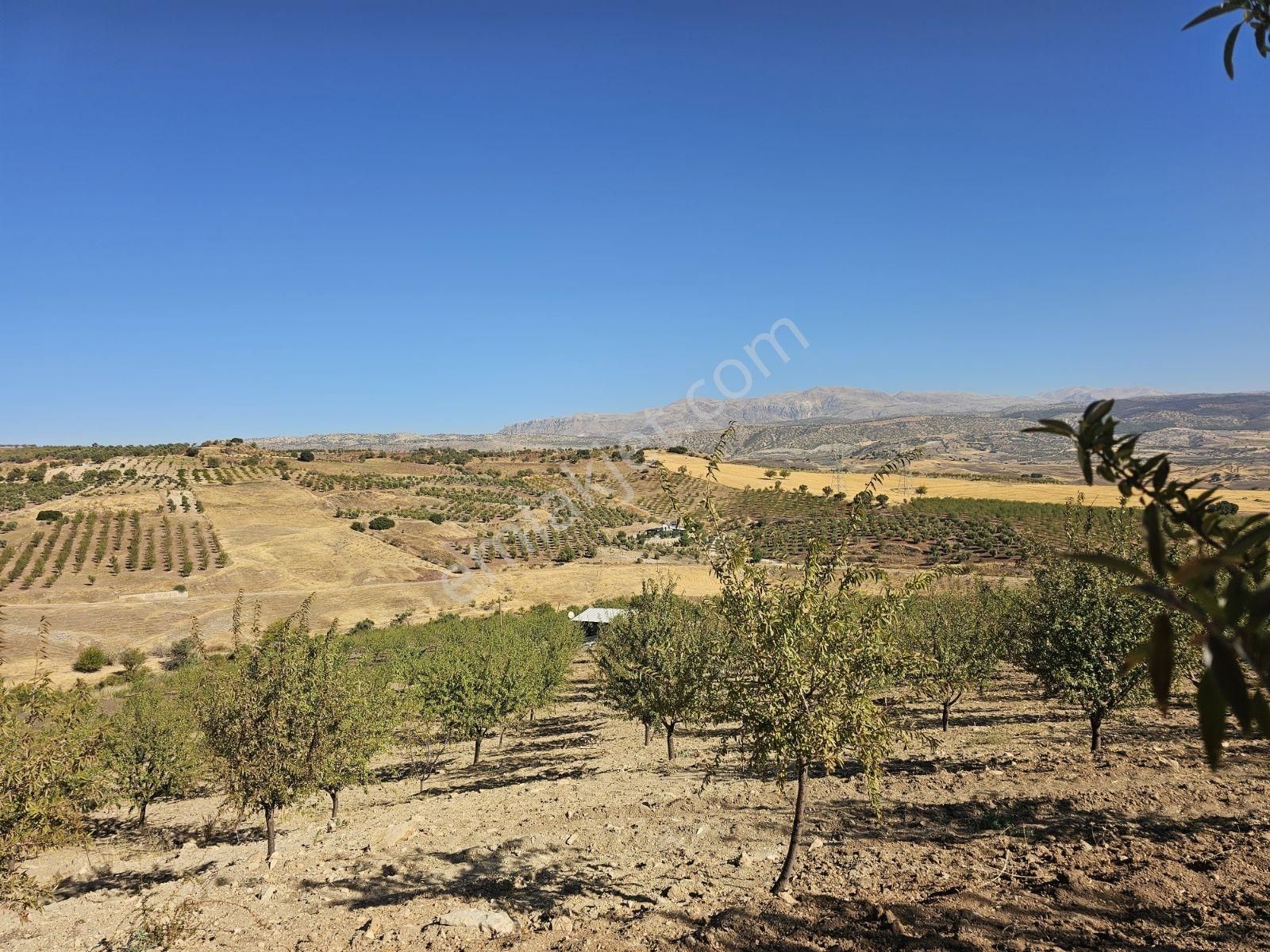 Hakev'den Ana Yola Yakın Mesafede Bahçe Satılıktır - Görsel 21