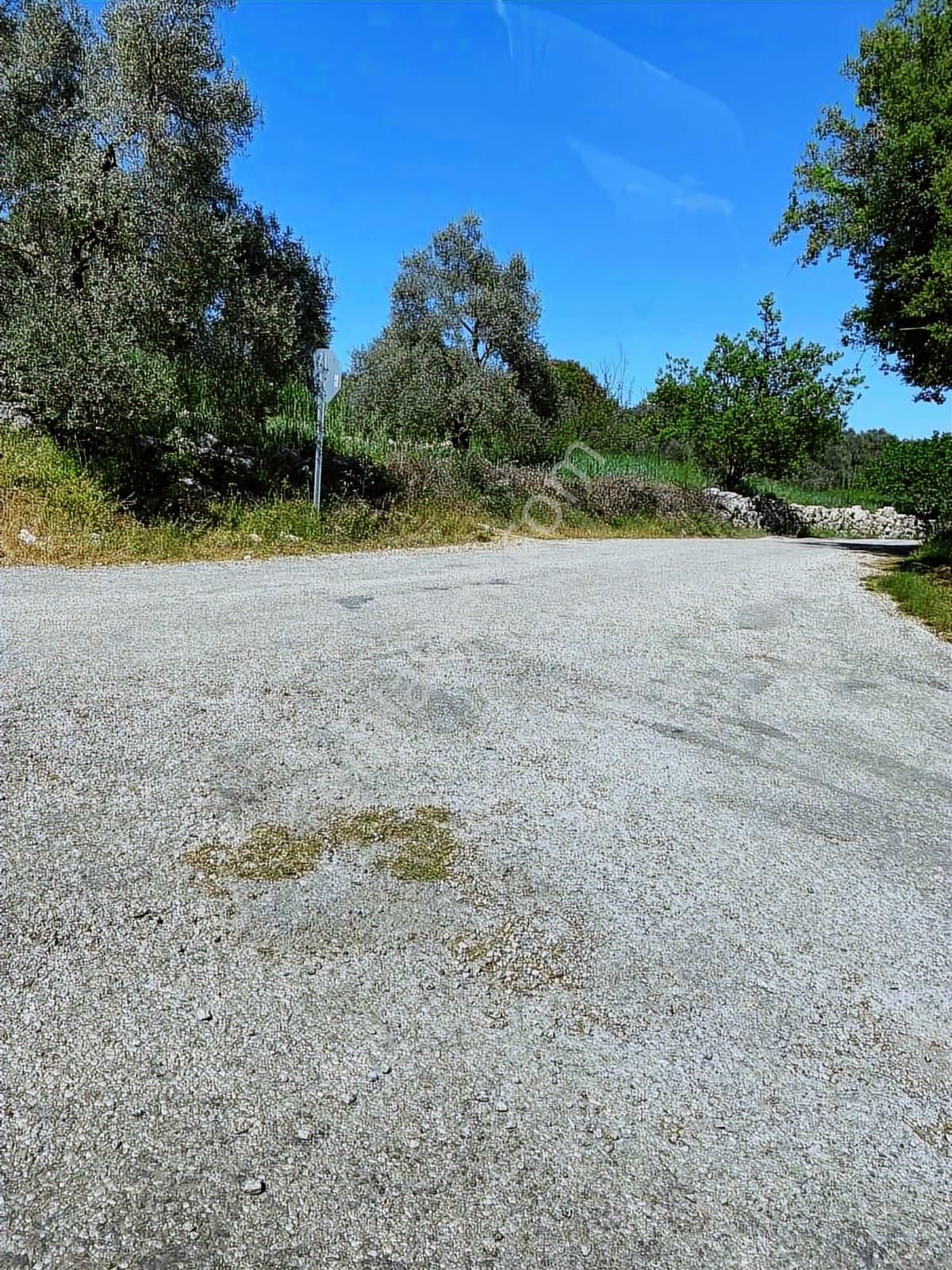 Milas Alaçam Mah. Satılık Tarla - Görsel 3