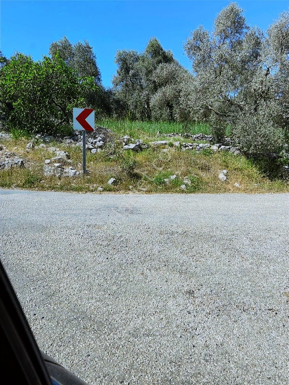 Milas Alaçam Mah. Satılık Tarla - Görsel 6