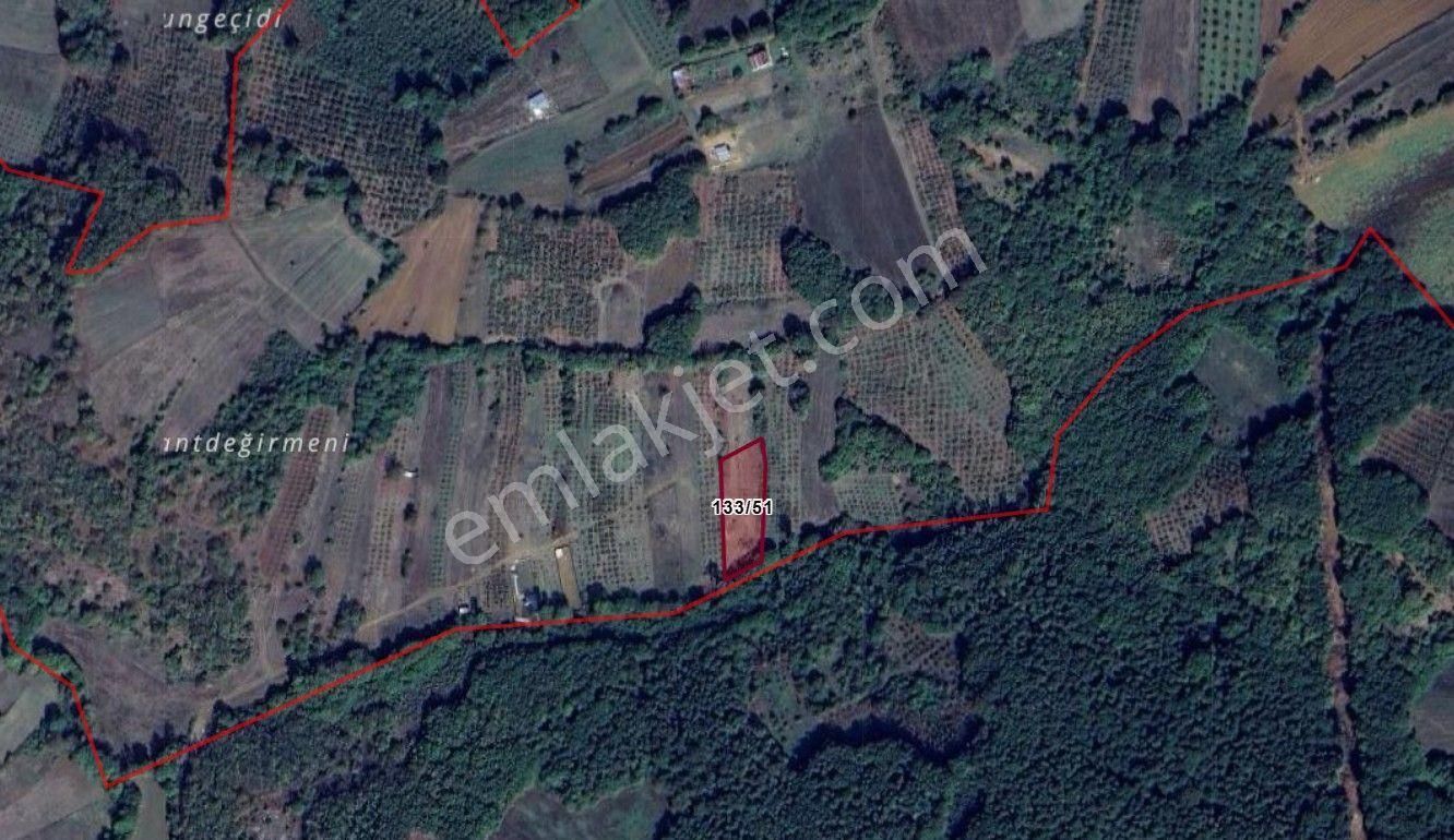 Dalca’da Köy/bağ Evine Uygun 2182 M² | Resmi Yola 30 M Cephe