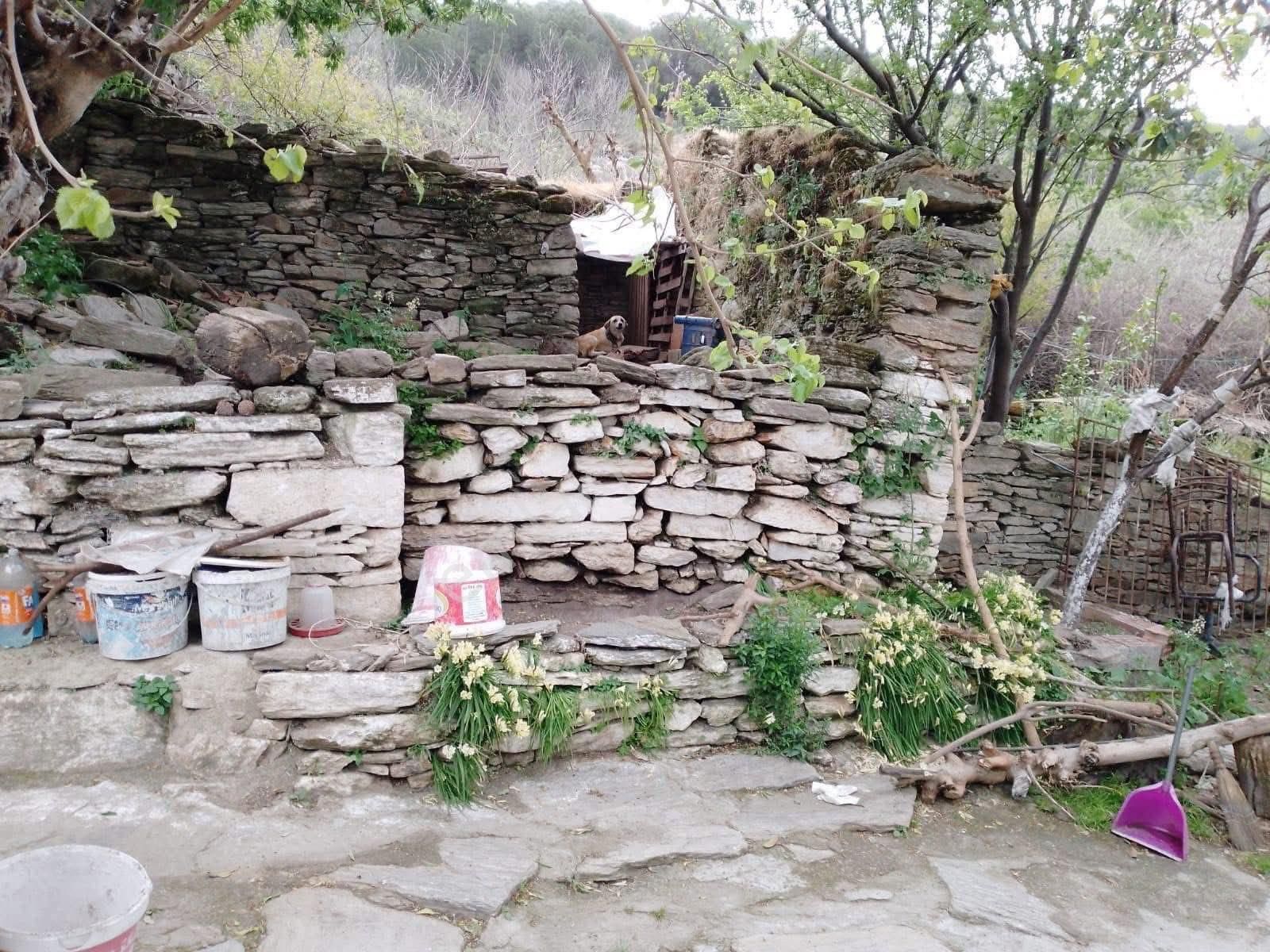 Fiyat Düştü Söke Burunköy Satılık 264 M2 İçinde Köy Evi Olan Arsa - Görsel 4