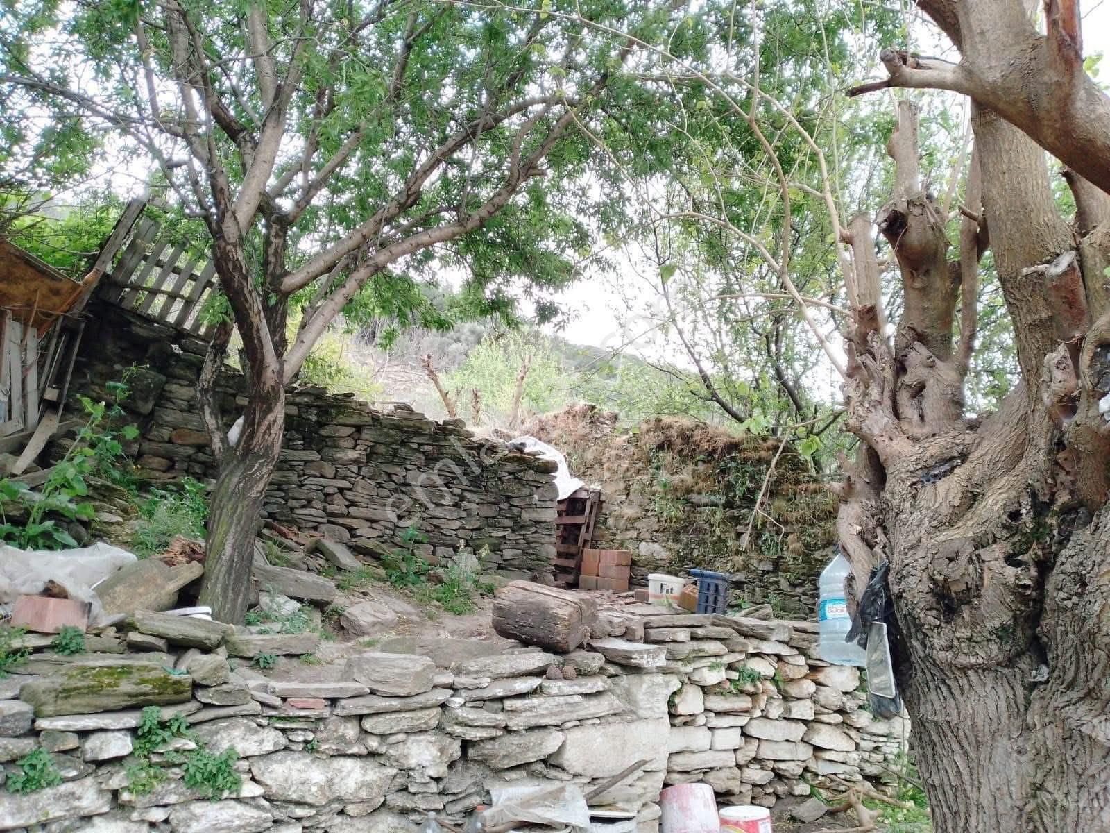 Fiyat Düştü Söke Burunköy Satılık 264 M2 İçinde Köy Evi Olan Arsa - Görsel 6