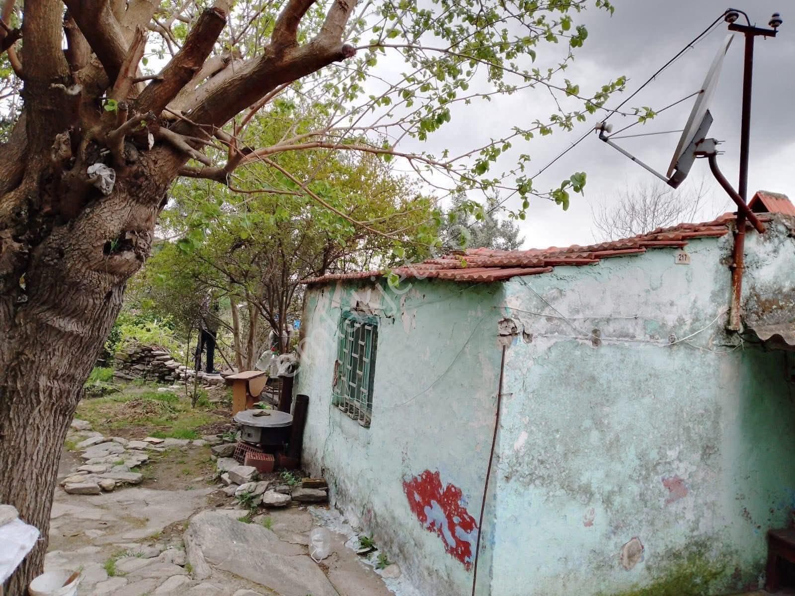 Fiyat Düştü Söke Burunköy Satılık 264 M2 İçinde Köy Evi Olan Arsa - Görsel 2