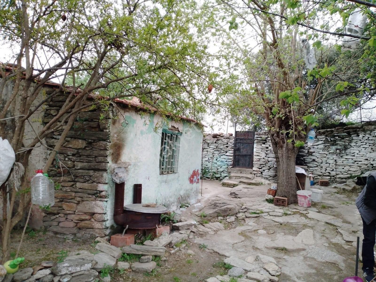 Fiyat Düştü Söke Burunköy Satılık 264 M2 İçinde Köy Evi Olan Arsa