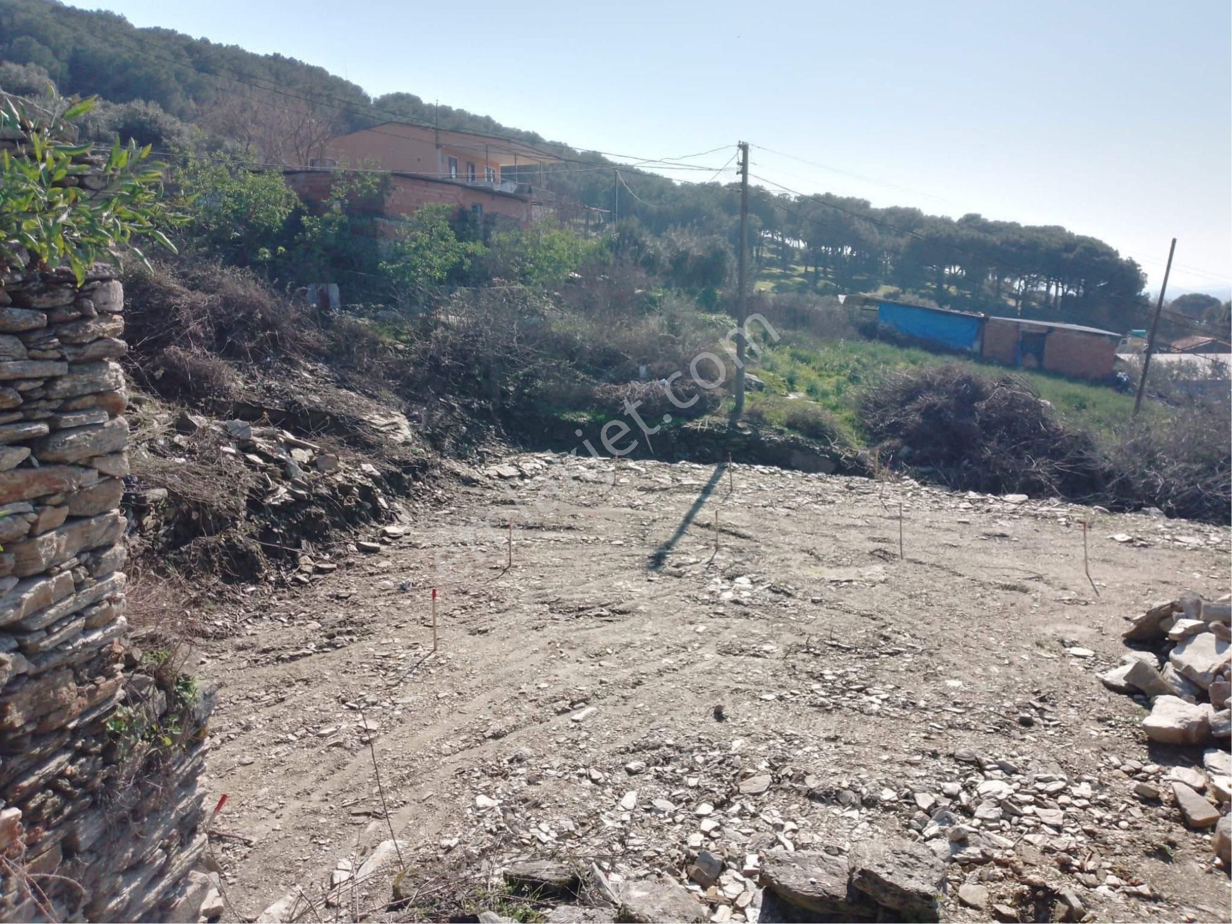 Söke Burunköy Satılık Üç Parsel Toplamda 276.64 M2 Arsa - Görsel 4