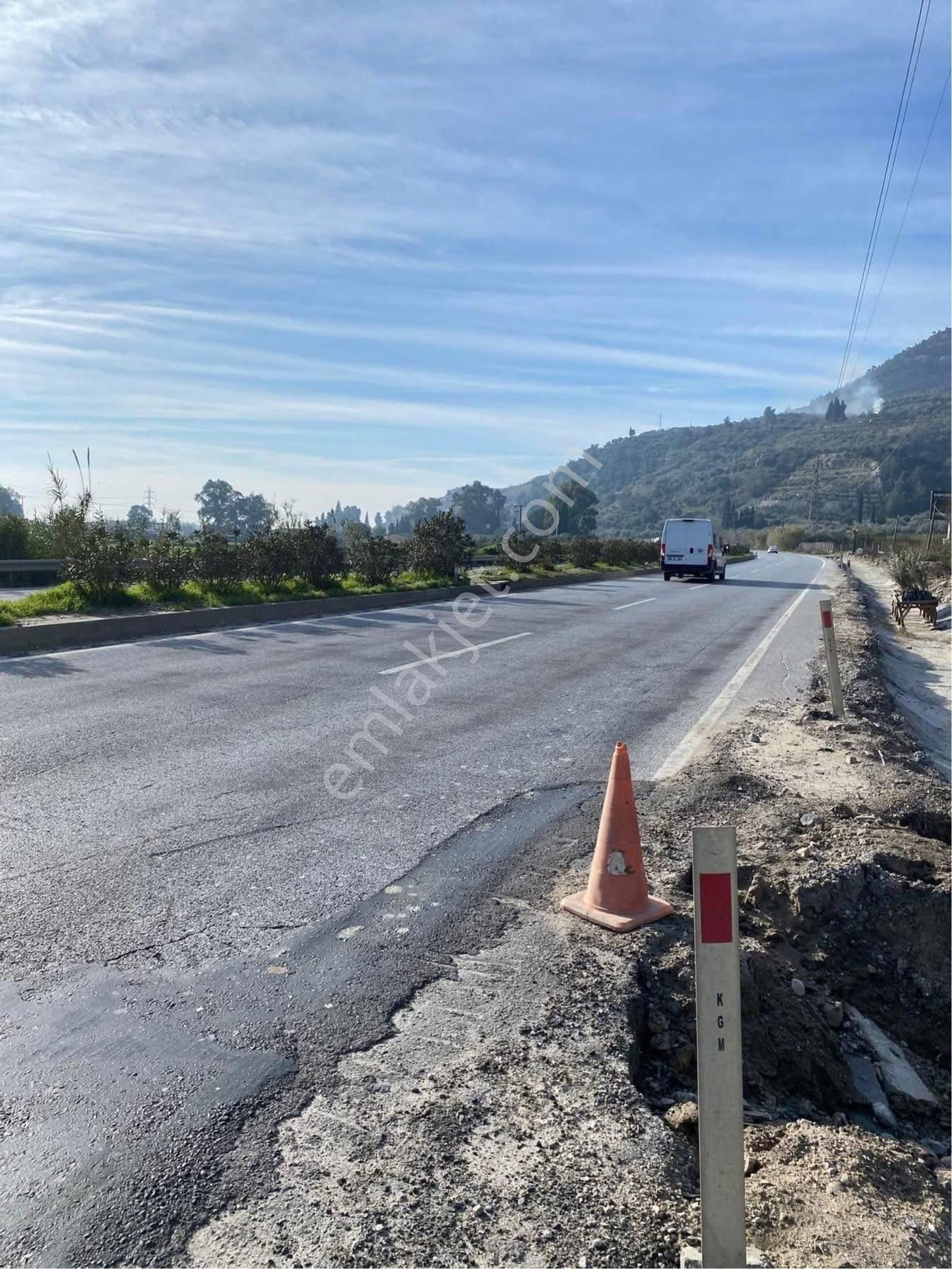 Söke Argavlı Köyü İmara Sınır Yolu Açılmış Satılık Zeytinlik - Görsel 2