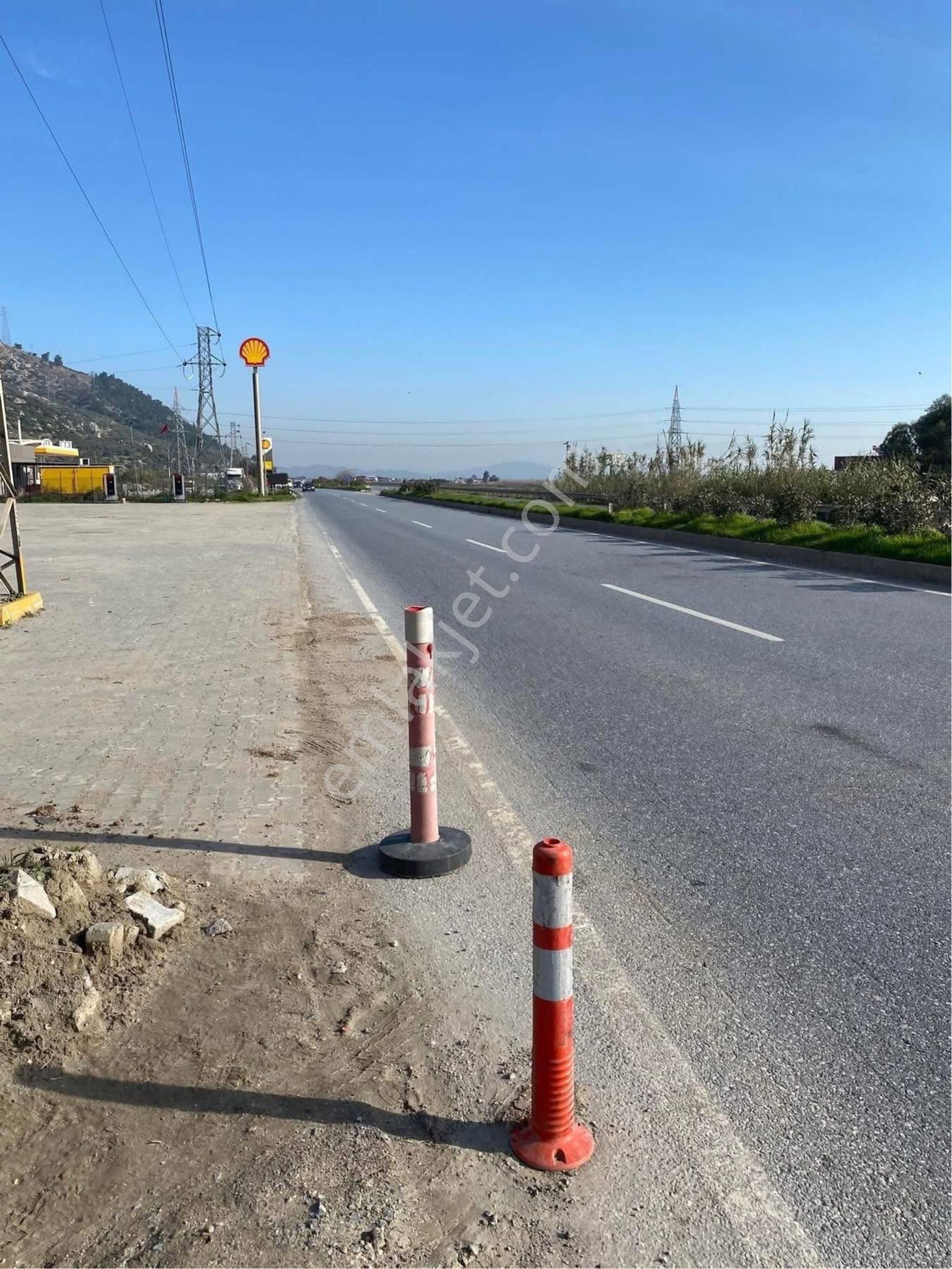 Söke Argavlı Köyü İmara Sınır Yolu Açılmış Satılık Zeytinlik - Görsel 6