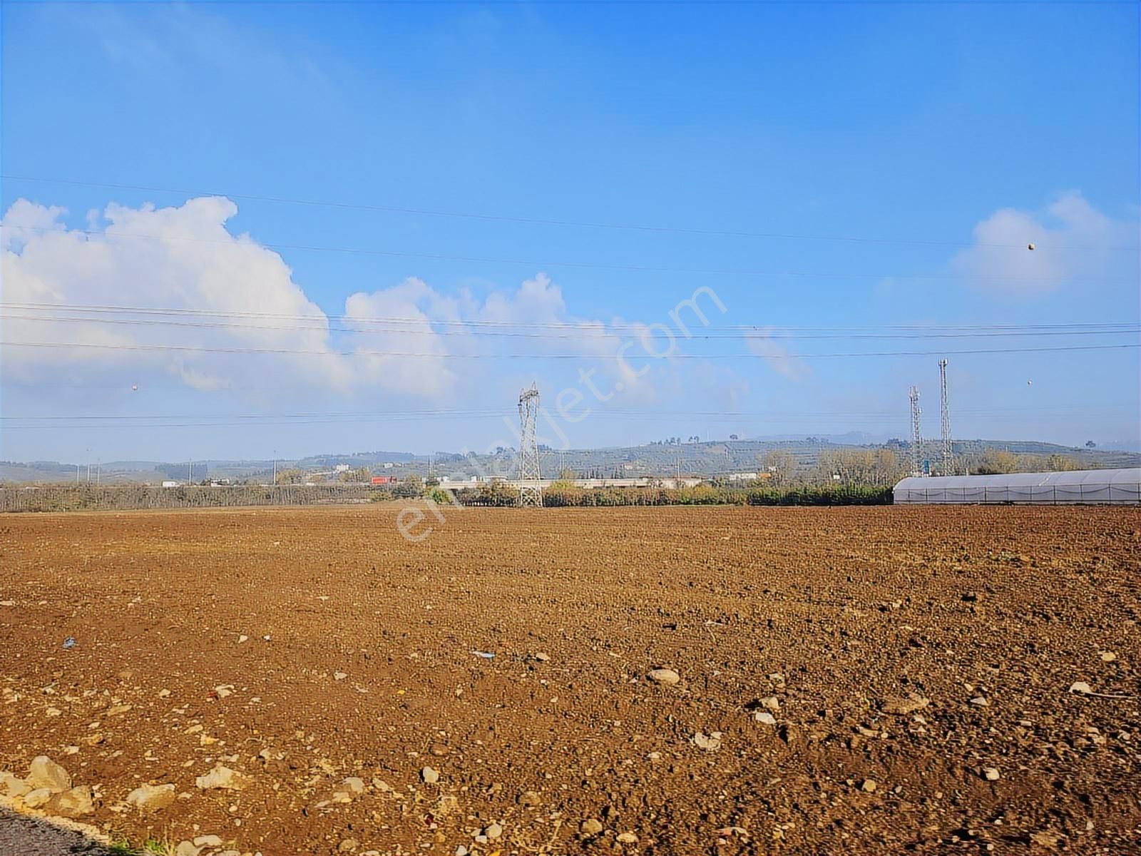 Dereçavuşta İyi Konum Tektapu Yatırımlık Arazi (tekyetkiliyiz)