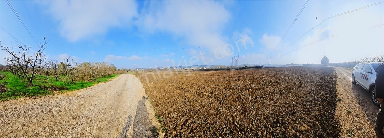 Dereçavuşta İyi Konum Tektapu Yatırımlık Arazi (tekyetkiliyiz) - Görsel 6