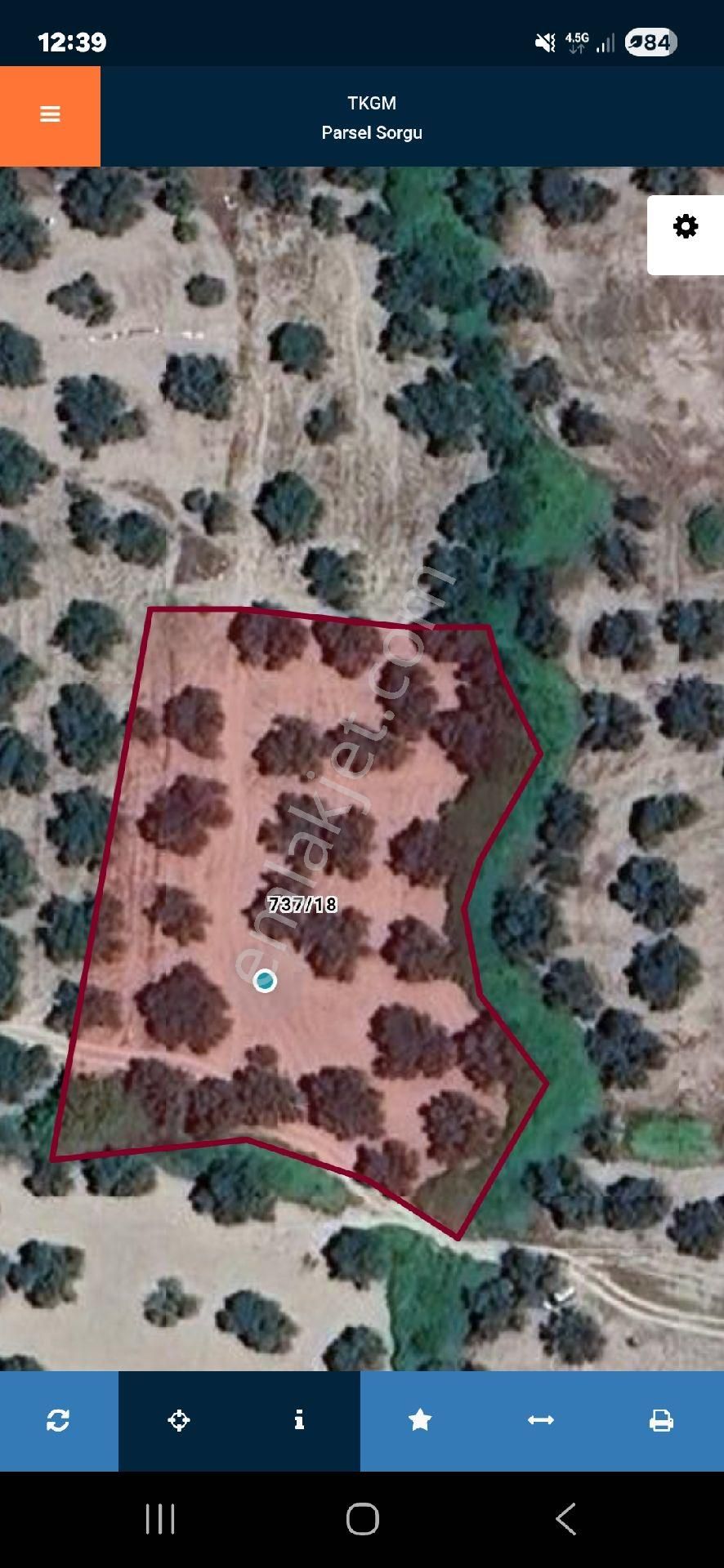 Ayvalık Gazikemalpada Satılık 3 Dönüm Zeytin Bahçesi ( Takasa Açık ) - Görsel 10