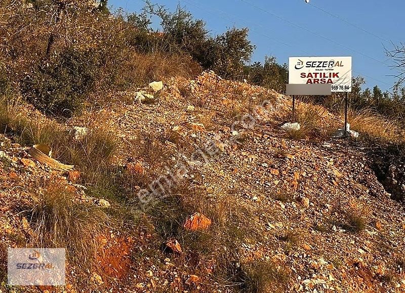 Toprak Alan Kazanır. Altın Erir Toprak Erimez - Görsel 2