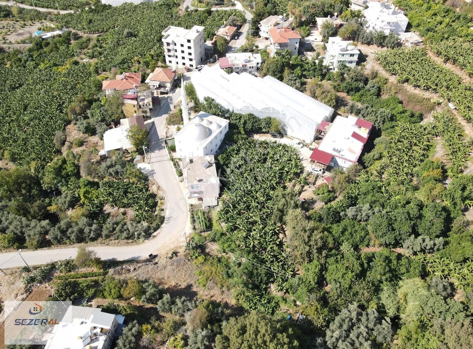 Alanya Da Çelik Ev Ve Muz Bahçeli Arazi Satıyorum.