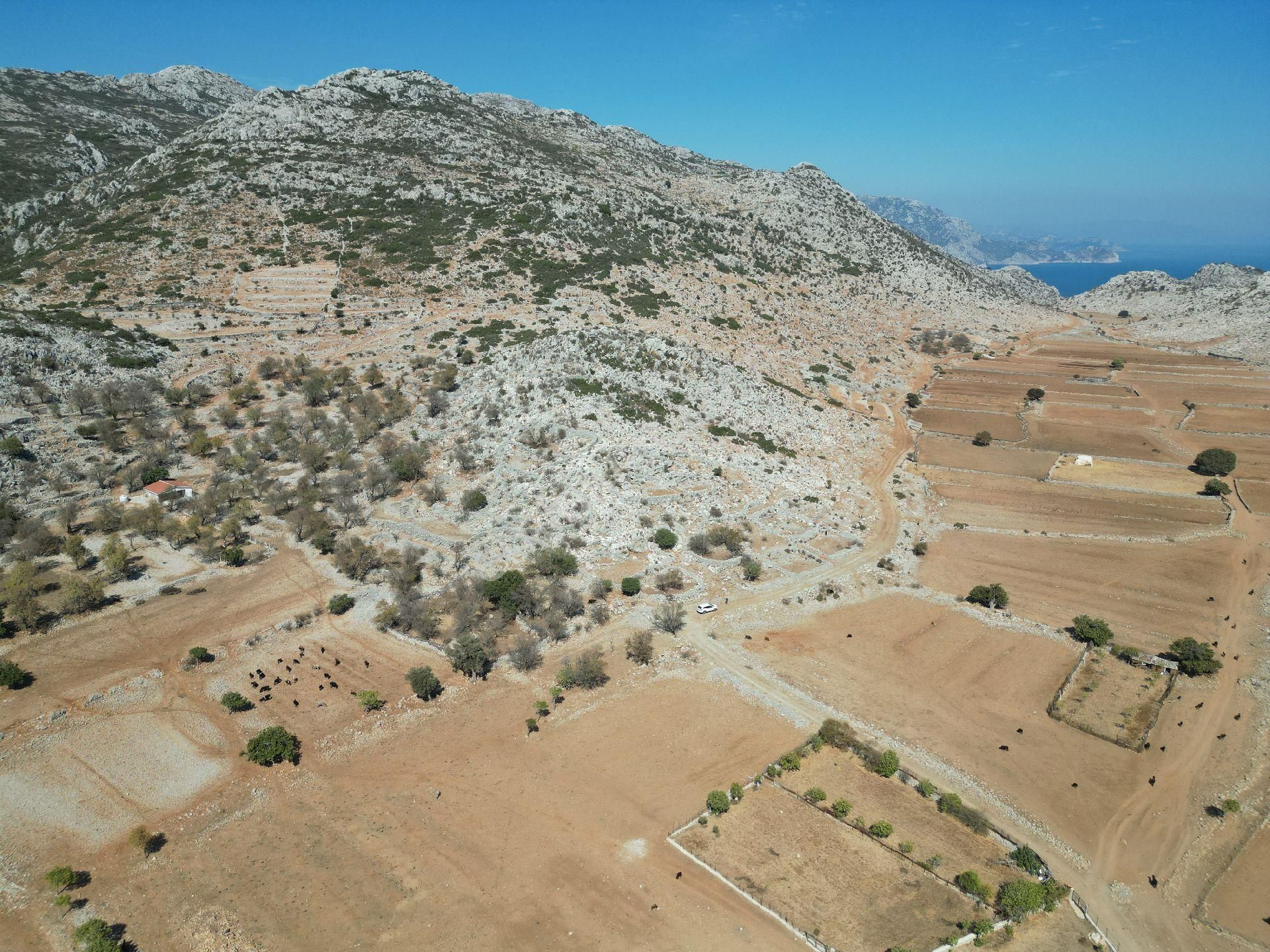 Joker: Marmaris Taşlıca Resmi Yol Cephe Yerleşime Yakın Tarla - Görsel 14