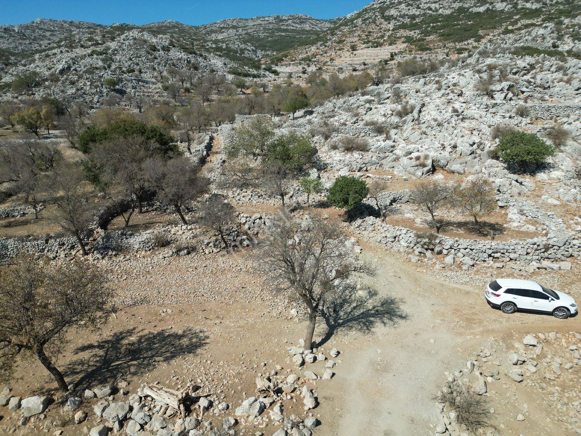 Joker: Marmaris Taşlıca Resmi Yol Cephe Yerleşime Yakın Tarla - Görsel 7