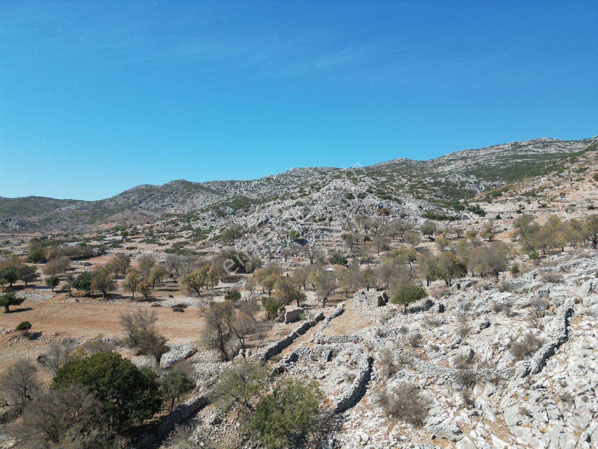 Joker: Marmaris Taşlıca Resmi Yol Cephe Yerleşime Yakın Tarla - Görsel 8