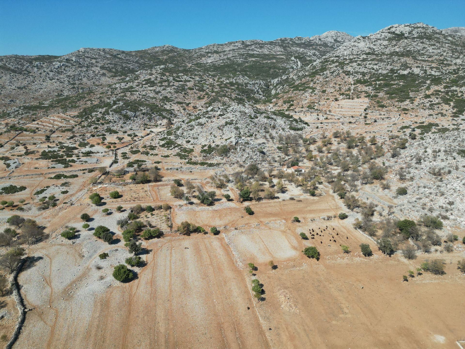 Joker: Marmaris Taşlıca Resmi Yol Cephe Yerleşime Yakın Tarla - Görsel 15