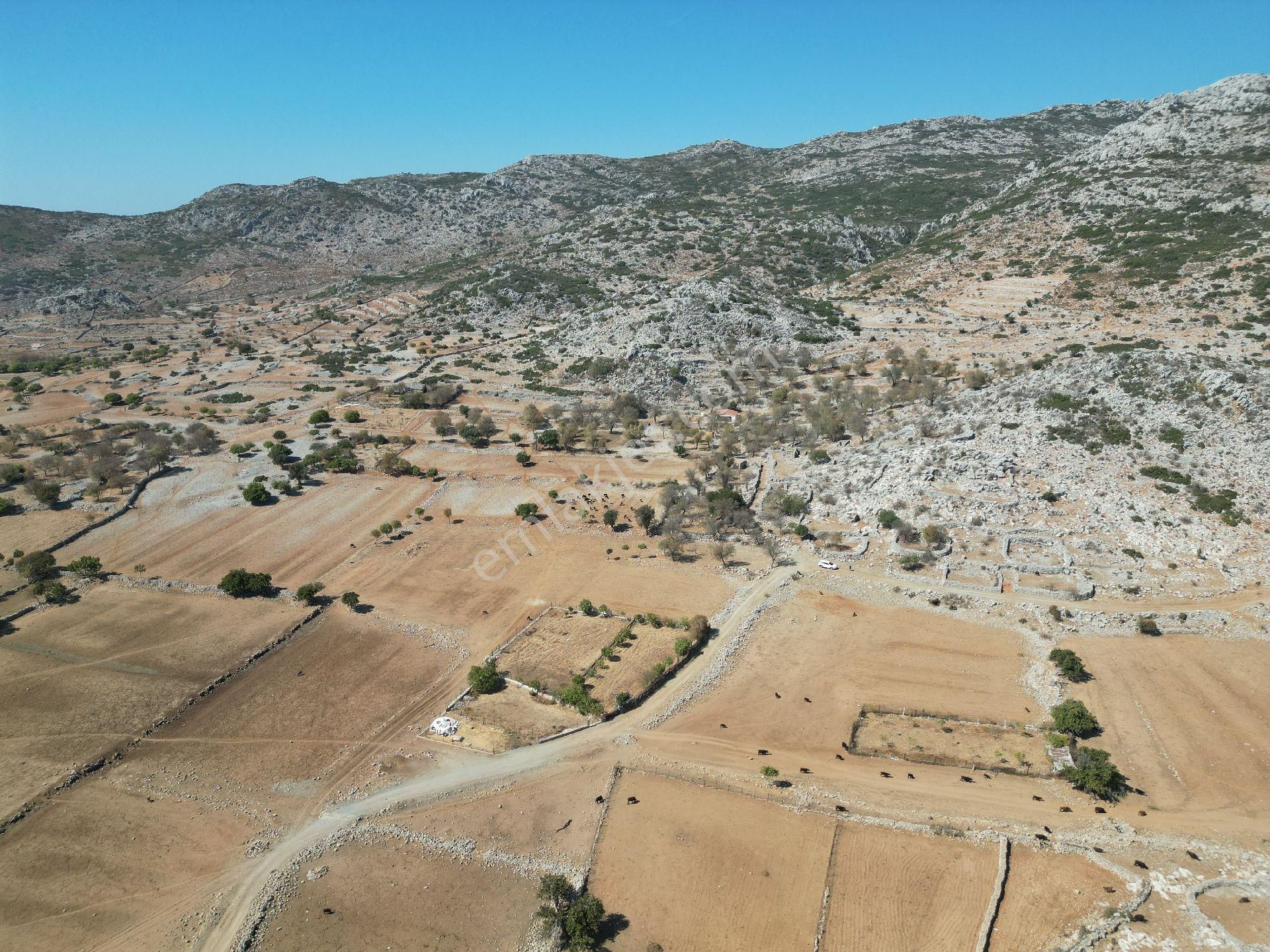 Joker: Marmaris Taşlıca Resmi Yol Cephe Yerleşime Yakın Tarla - Görsel 9