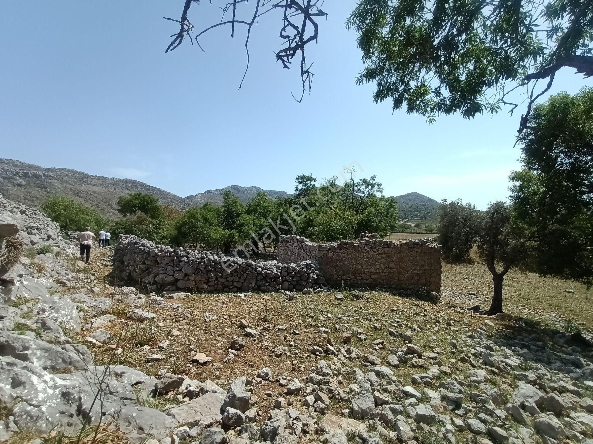 Joker: Marmaris Taşlıca Resmi Yol Cephe Yerleşime Yakın Tarla - Görsel 10