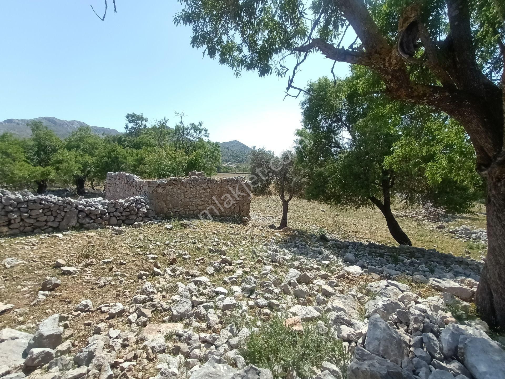 Joker: Marmaris Taşlıca Resmi Yol Cephe Yerleşime Yakın Tarla