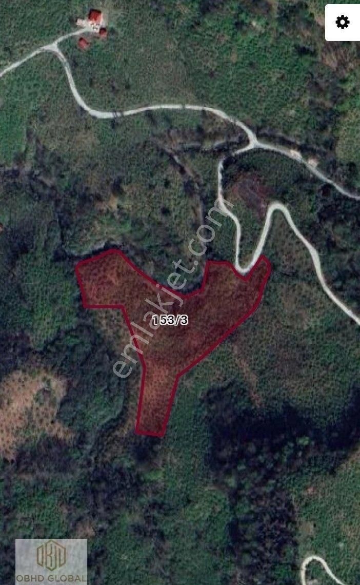 Obhd Global Gayrimenkul'den Keşap Düzköy'de Satılık Arsa