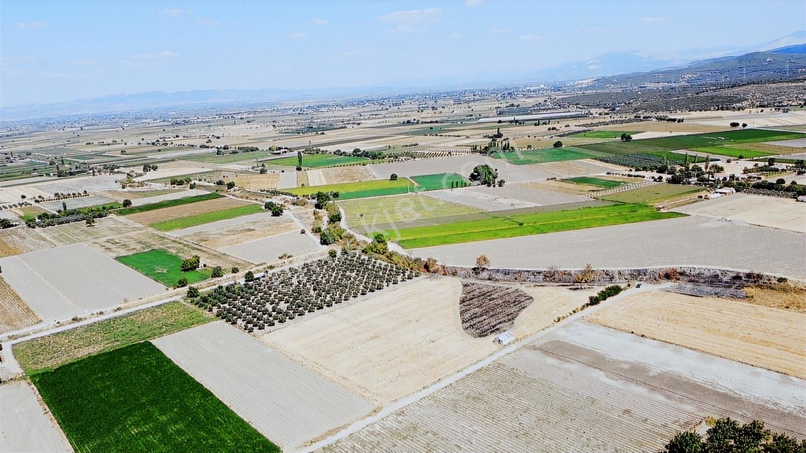 Pinus Gayrimenkul'den//kaşıkçı Mah. Satılık 14.392 M² Tarla - Görsel 10