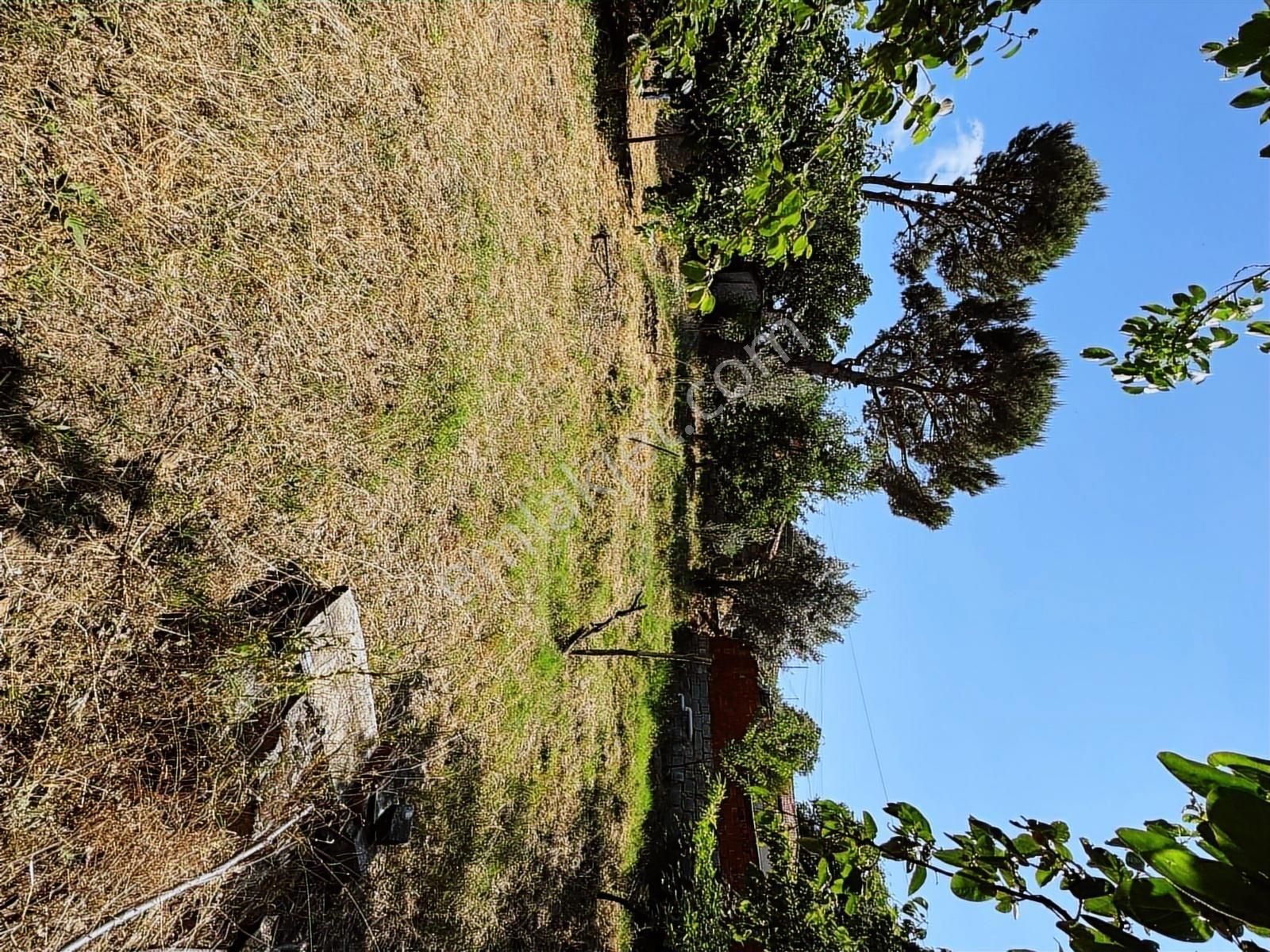 Pinus Gayrimenkul'den//kozak Karaveliler'de 612m² Bahçeli Köyevi - Görsel 2