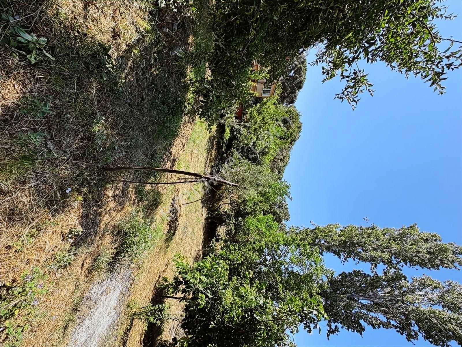 Pinus Gayrimenkul'den//kozak Karaveliler'de 612m² Bahçeli Köyevi - Görsel 19