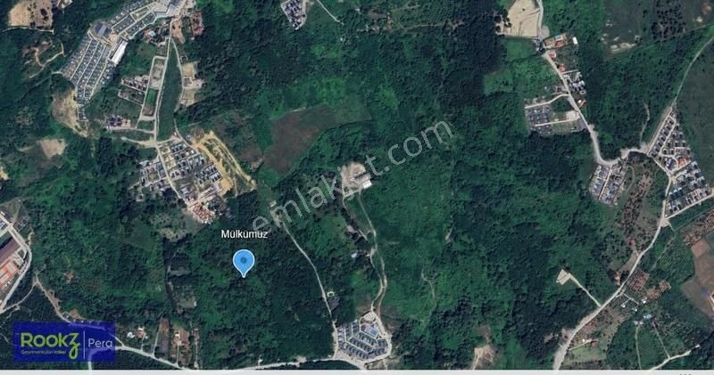 Sapanca'da Satılık Arazi 20 Dönüm - Görsel 2