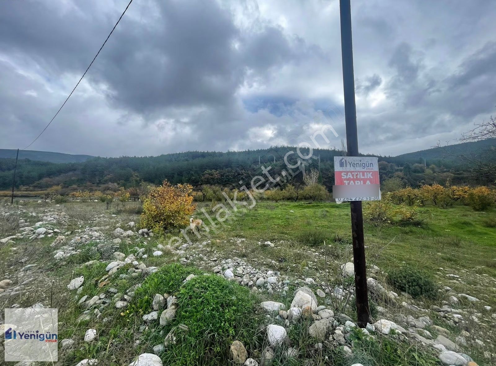 Yenigün Emlak'tan Burhaniye Mahallesinde Satılık Tarla - Görsel 8