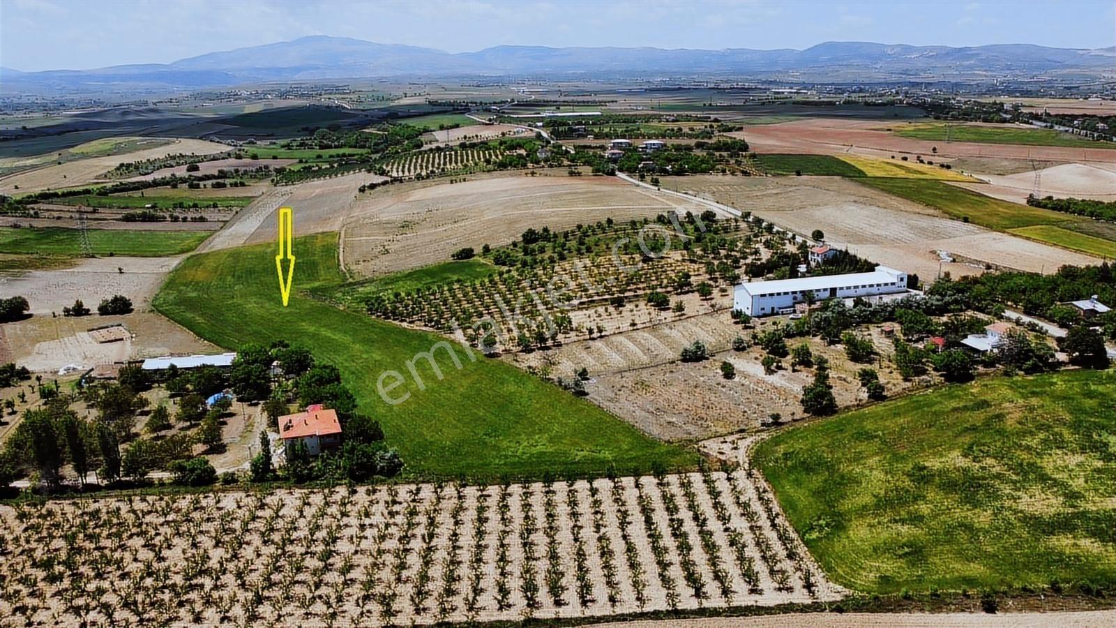 Yatırımlık Ve Bir Çok Projeye Uygun Büyük Parsel Arazi - Görsel 2