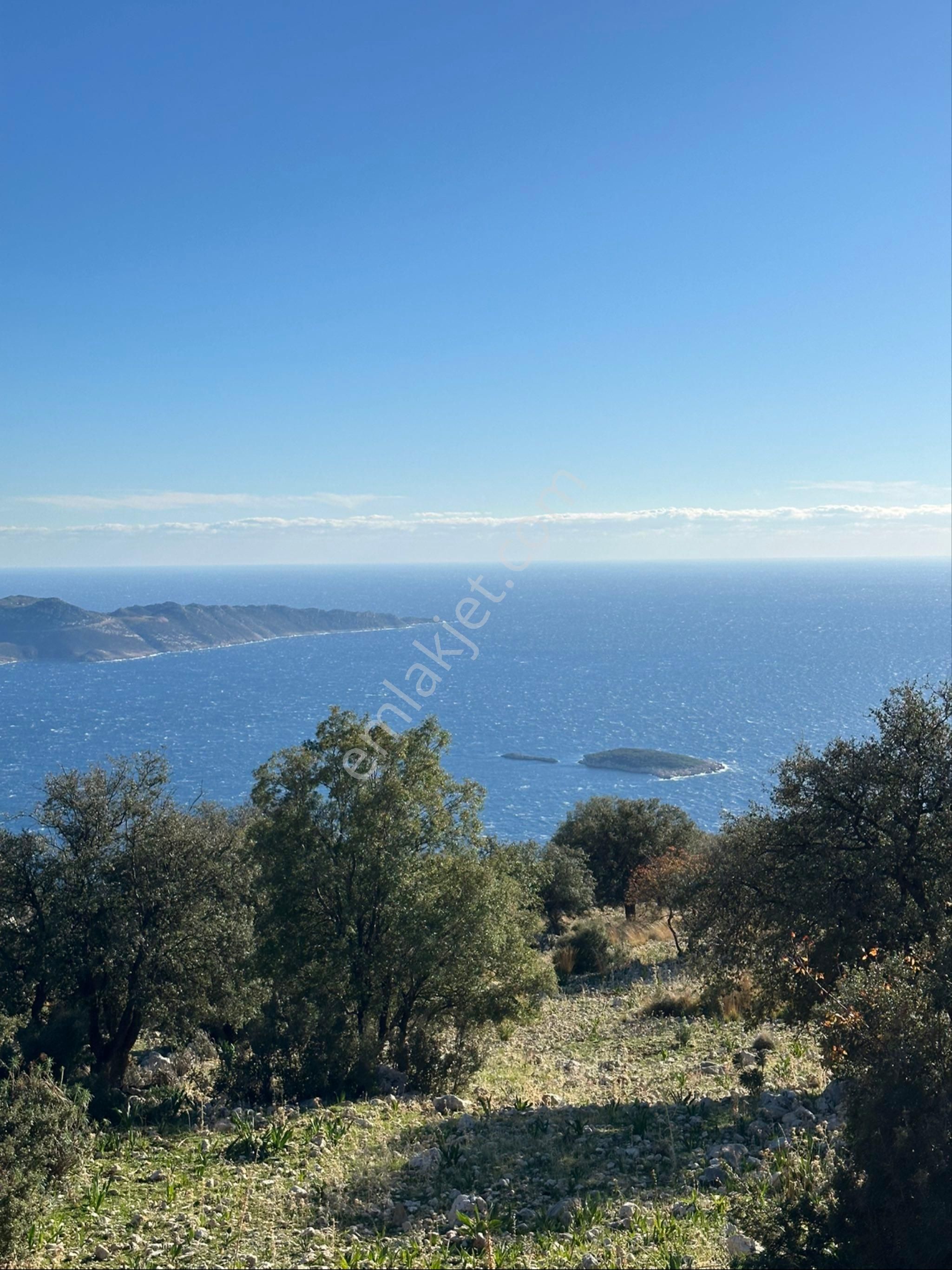 Deniz Manzaralı Yatırımlık 10.000m2 Antalya/kaş Gökçeören - Görsel 5