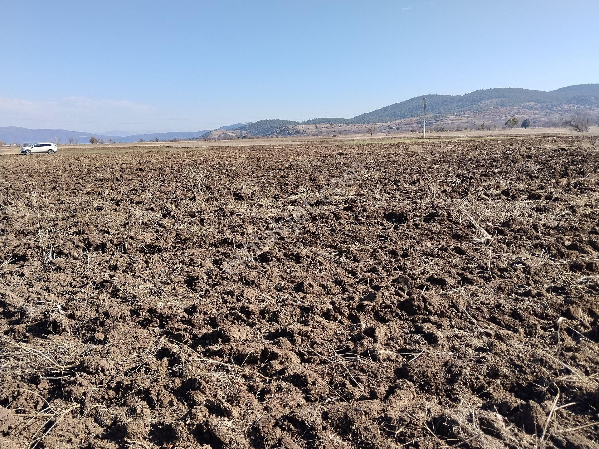 Burdur Yeşilova Aşağısalda - Görsel 6