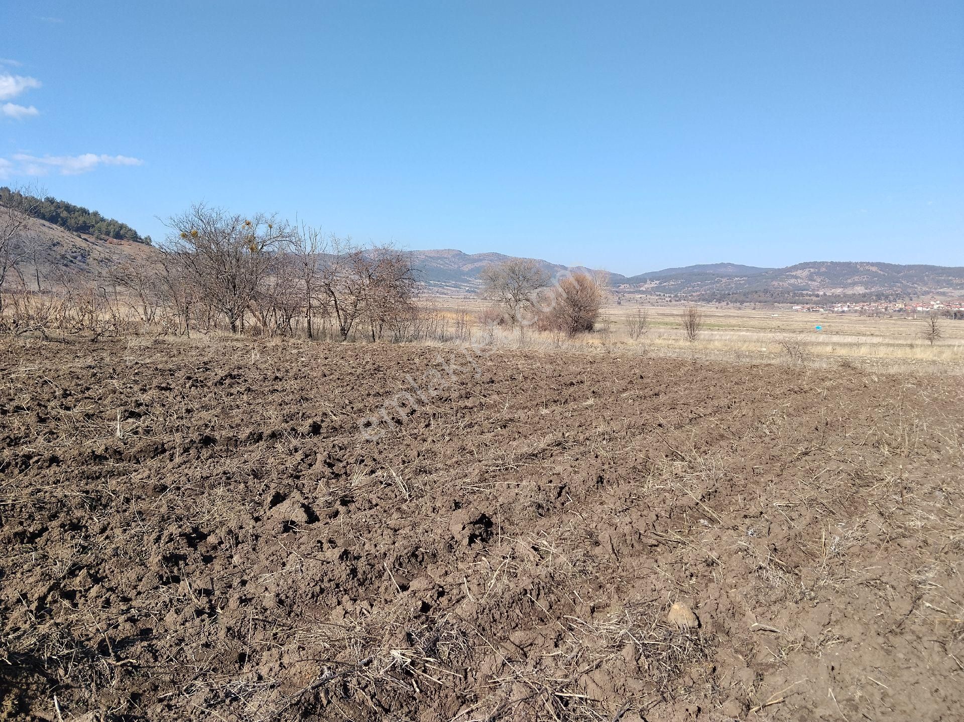 Burdur Yeşilova Aşağısalda - Görsel 17