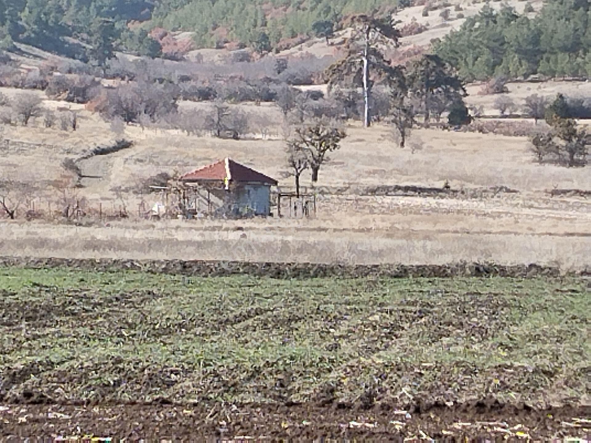 Burdur Yeşilova Aşağısalda - Görsel 16