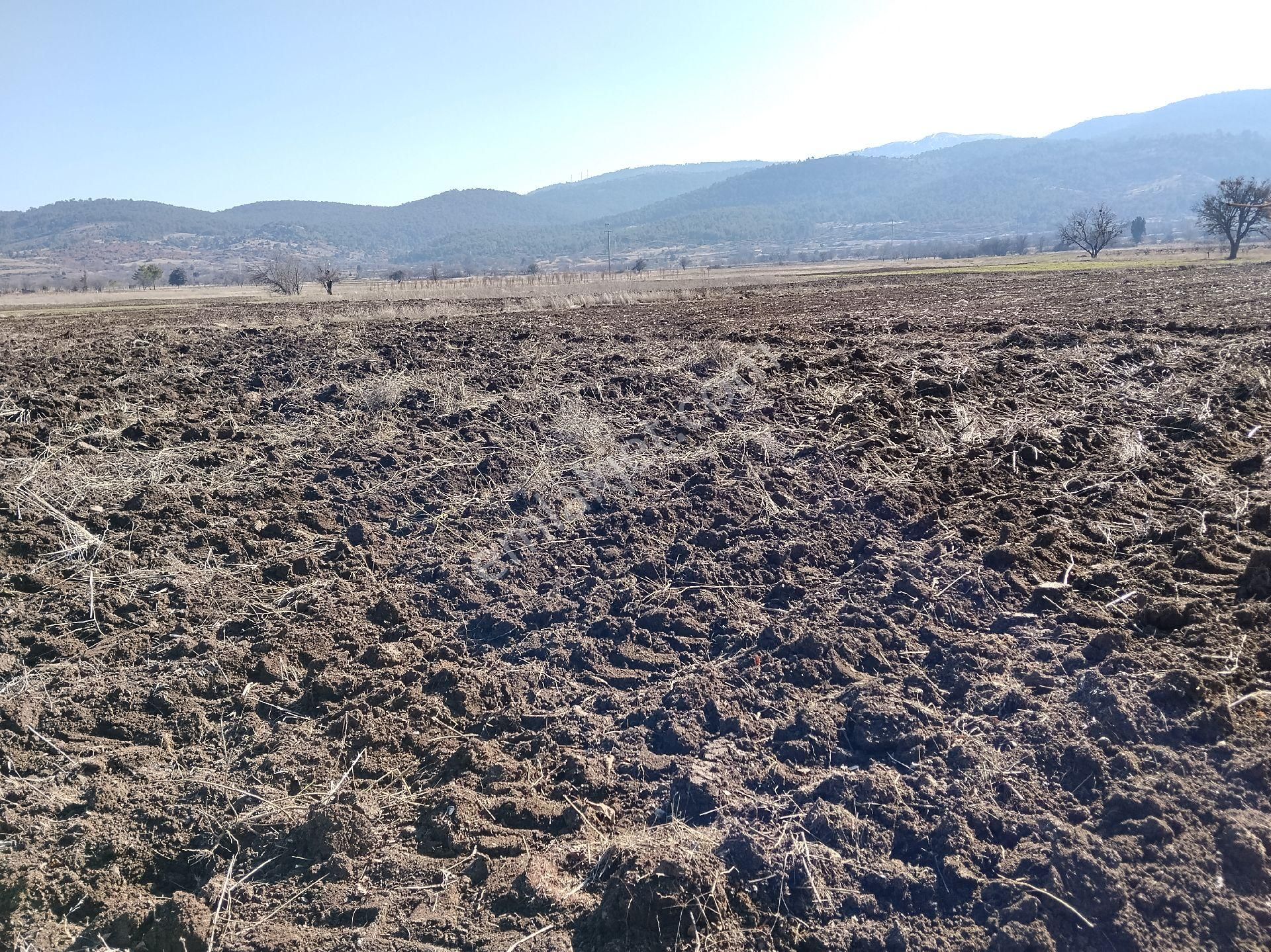 Burdur Yeşilova Aşağısalda - Görsel 9