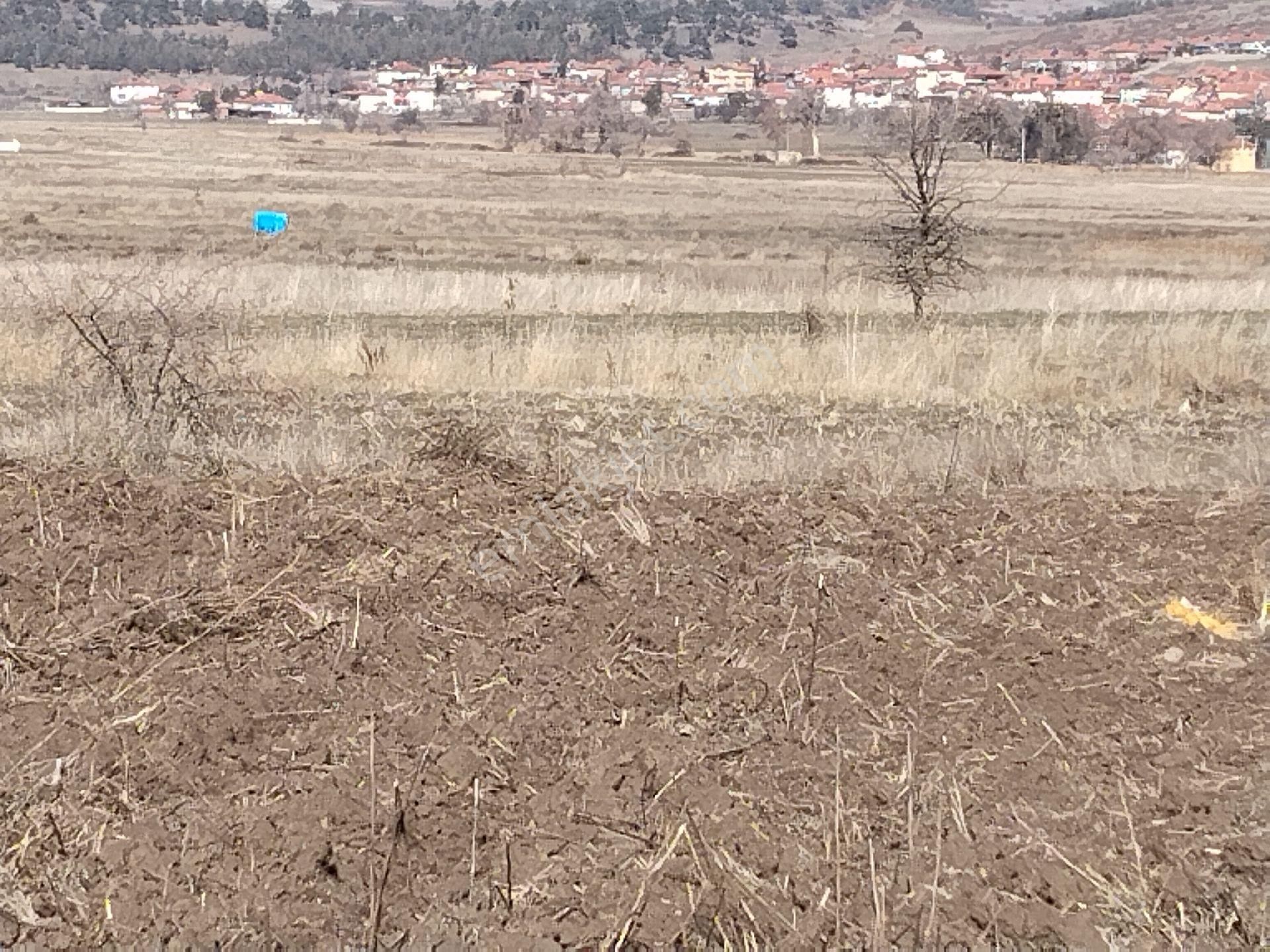 Burdur Yeşilova Aşağısalda - Görsel 21
