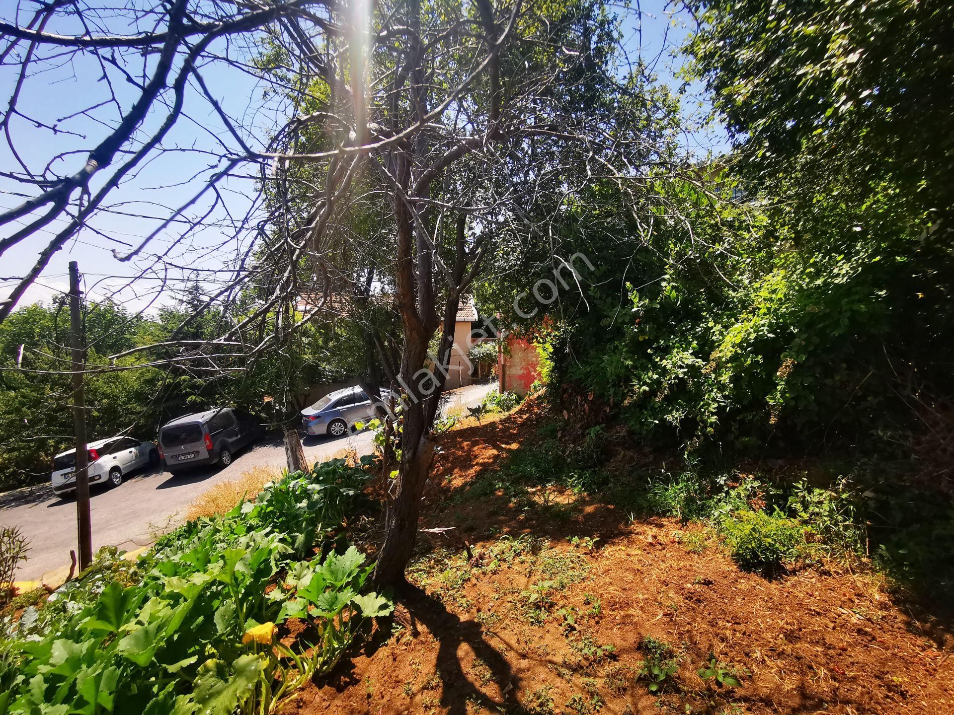 Beykoz'da 263m2 Boğaz Ön Görünümlü Yeri Belli Olan Satılık Arsa - Görsel 8