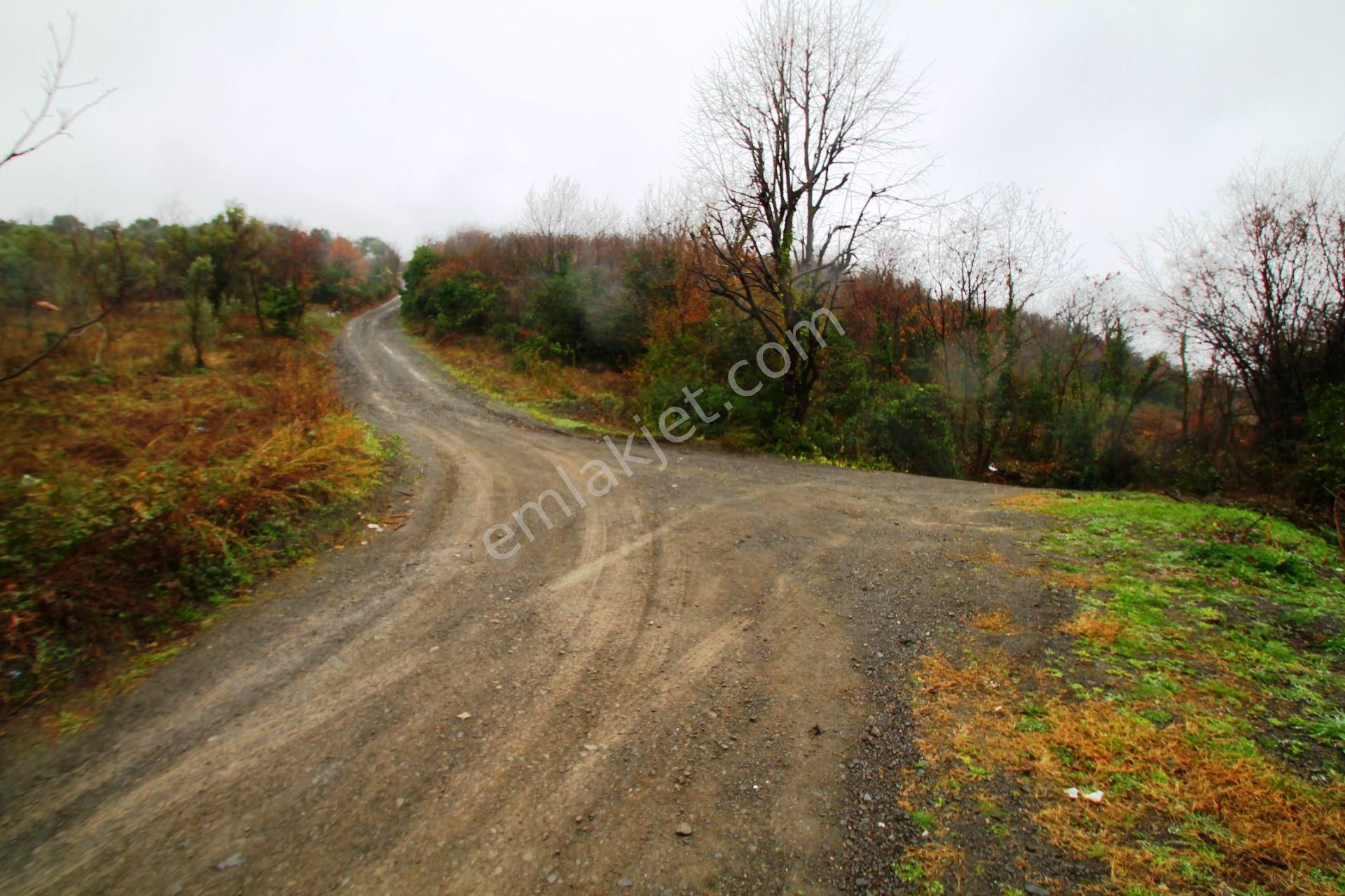 Gölcük Halıdere 8.5 Dönüm Yolu Açılmış Kestanelik Satılık Arsa - Görsel 21