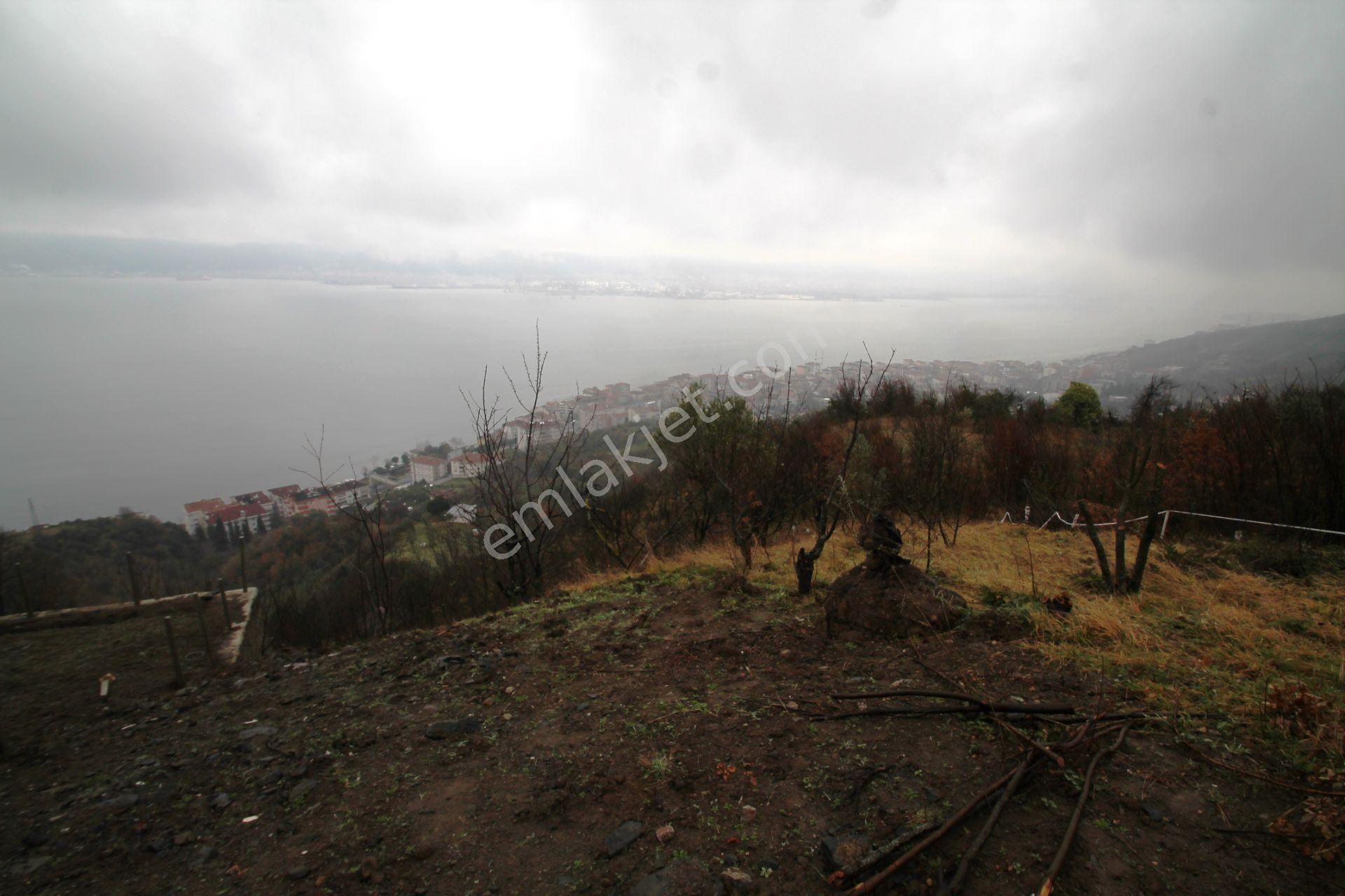 Gölcük Halıdere 8.5 Dönüm Yolu Açılmış Kestanelik Satılık Arsa - Görsel 34