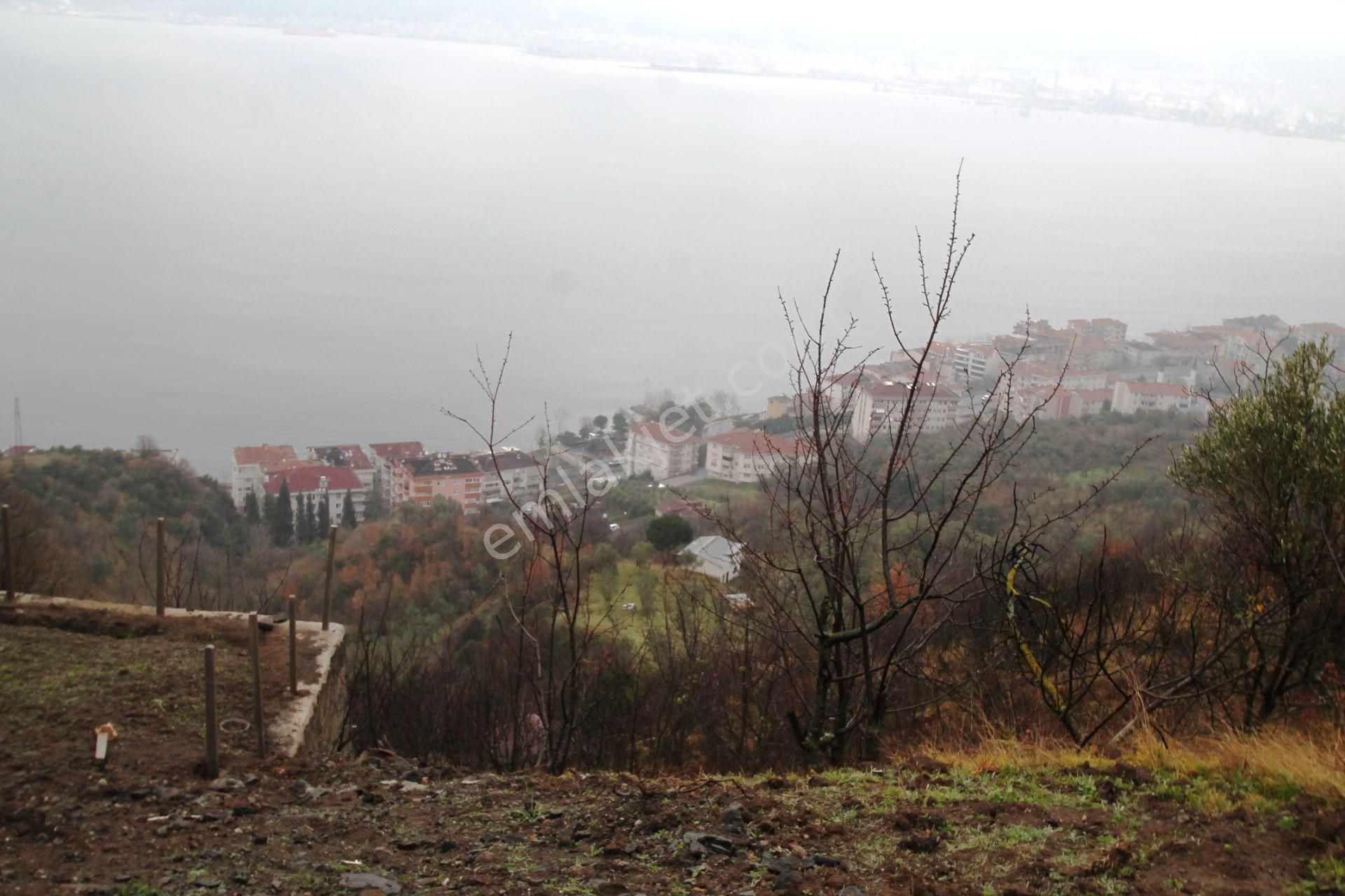 Gölcük Halıdere 8.5 Dönüm Yolu Açılmış Kestanelik Satılık Arsa - Görsel 31