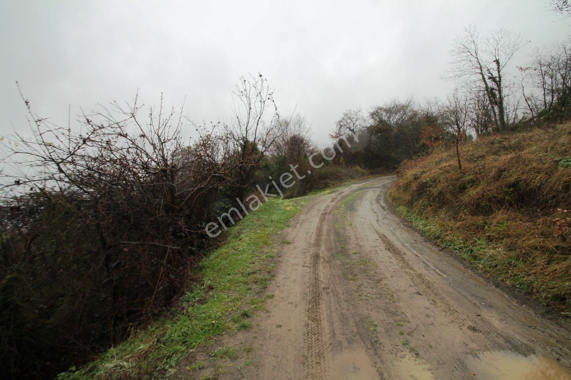 Gölcük Halıdere 8.5 Dönüm Yolu Açılmış Kestanelik Satılık Arsa - Görsel 25