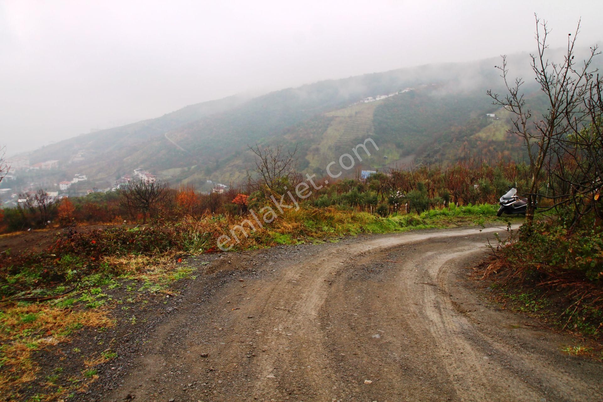 Gölcük Halıdere 8.5 Dönüm Yolu Açılmış Kestanelik Satılık Arsa - Görsel 17