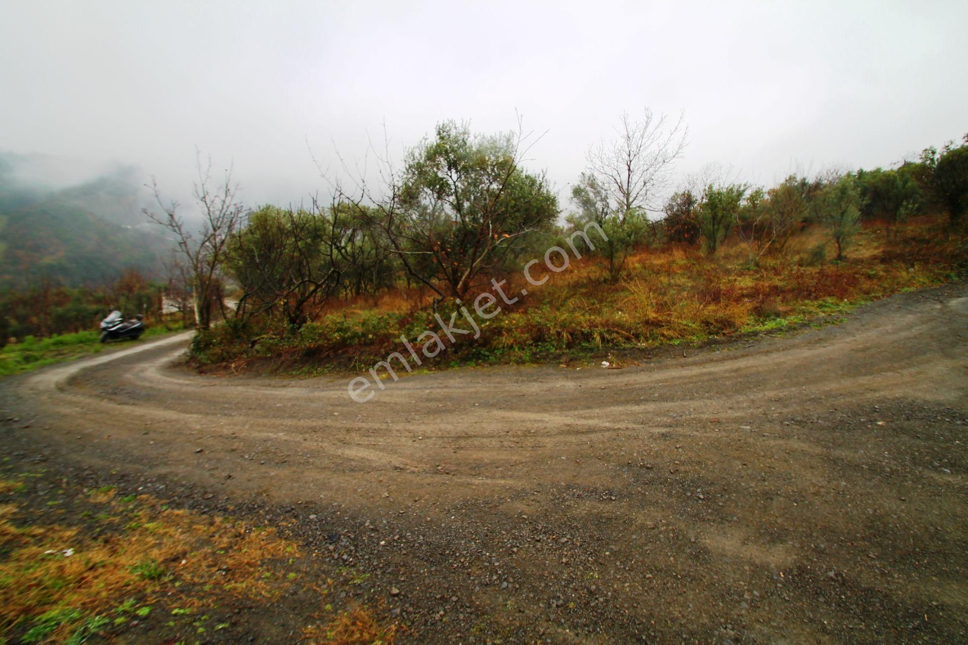 Gölcük Halıdere 8.5 Dönüm Yolu Açılmış Kestanelik Satılık Arsa - Görsel 19