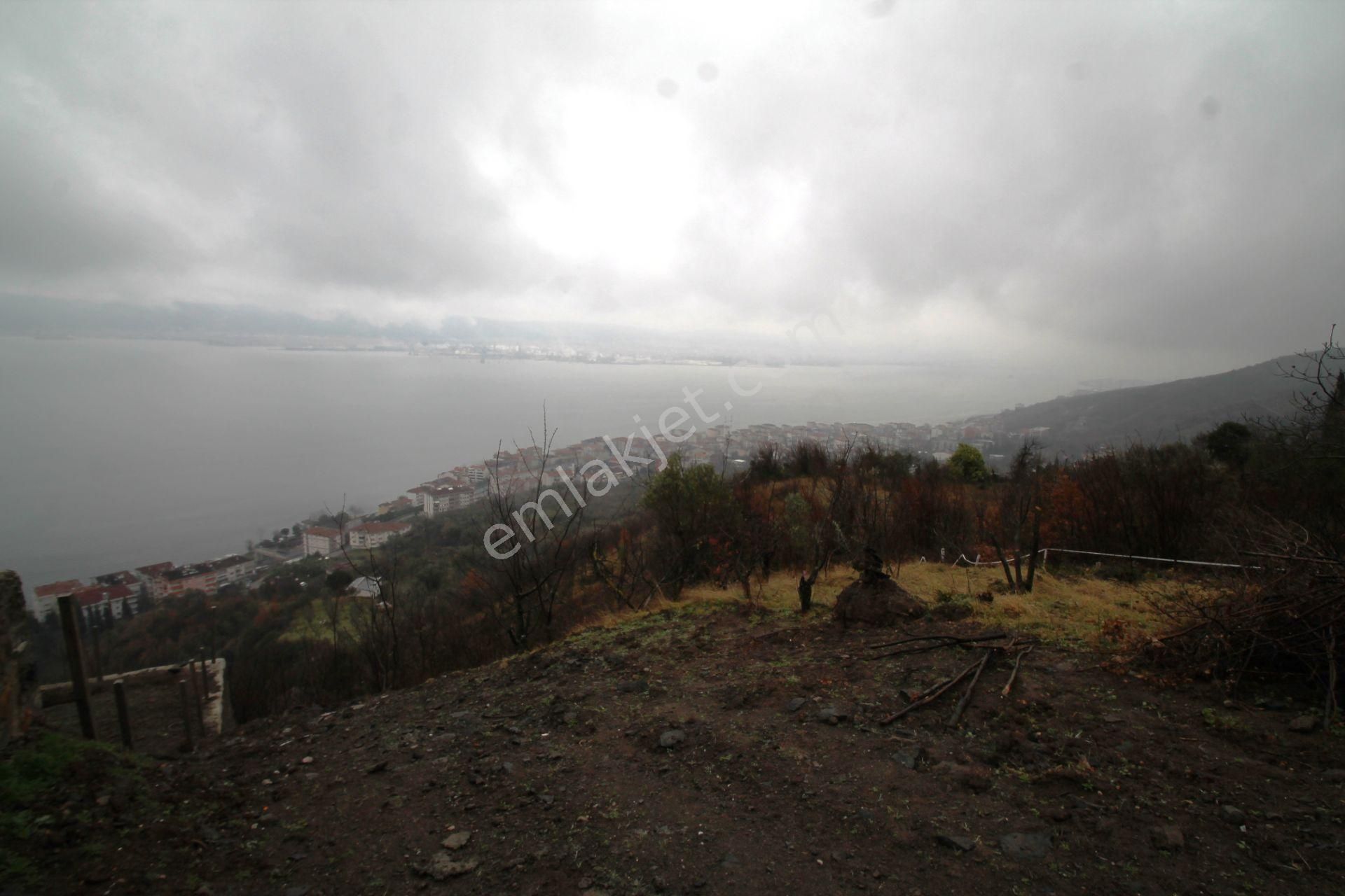 Gölcük Halıdere 8.5 Dönüm Yolu Açılmış Kestanelik Satılık Arsa - Görsel 28