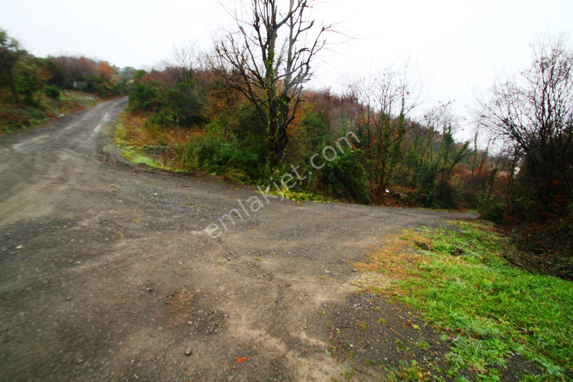 Gölcük Halıdere 8.5 Dönüm Yolu Açılmış Kestanelik Satılık Arsa - Görsel 18