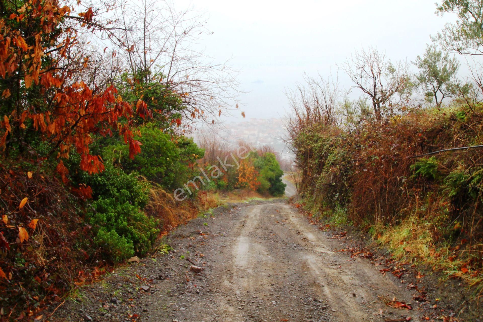 Gölcük Halıdere 8.5 Dönüm Yolu Açılmış Kestanelik Satılık Arsa - Görsel 7