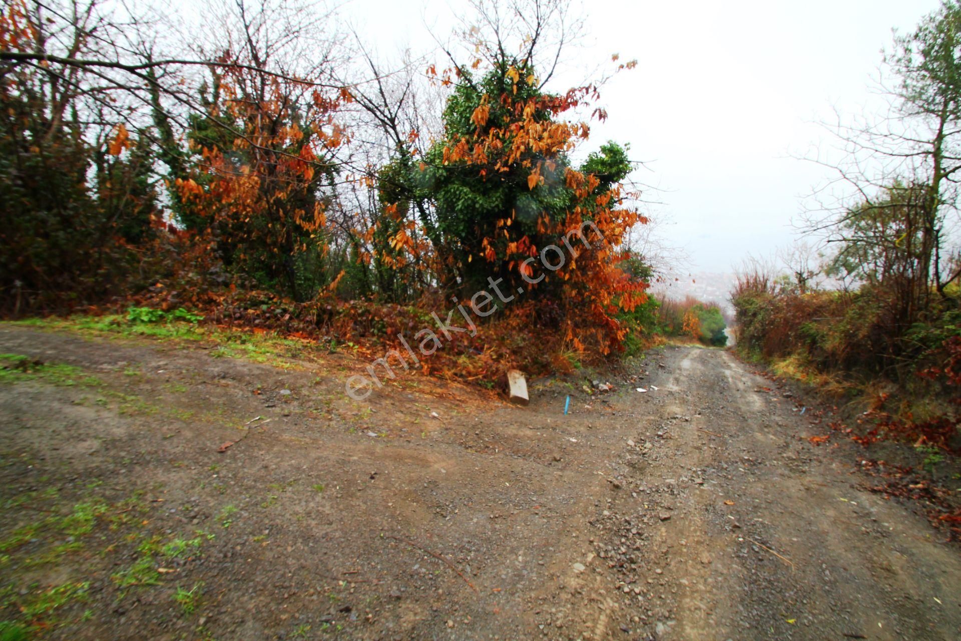 Gölcük Halıdere 8.5 Dönüm Yolu Açılmış Kestanelik Satılık Arsa - Görsel 6