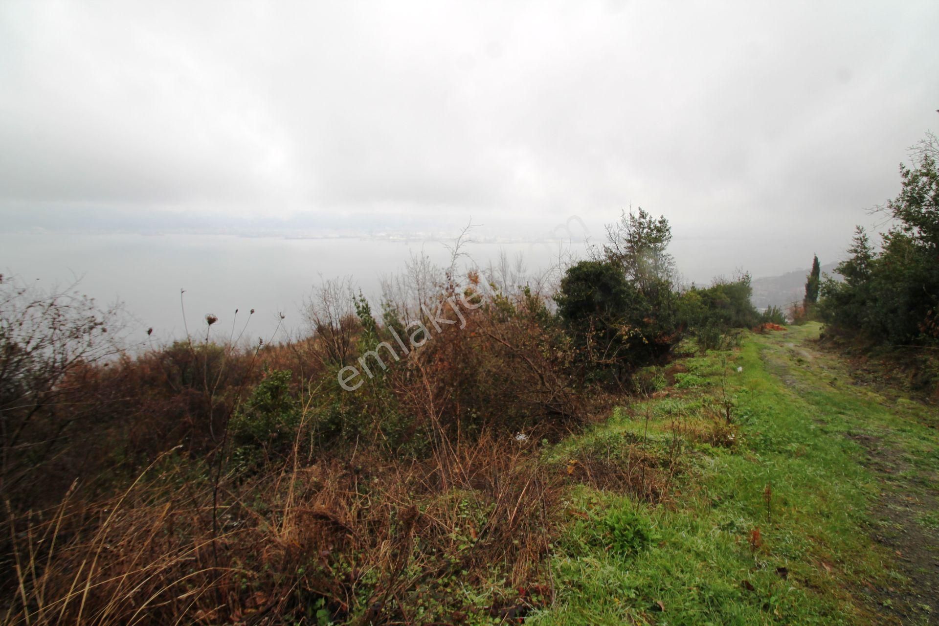 Gölcük Halıdere 8.5 Dönüm Yolu Açılmış Kestanelik Satılık Arsa - Görsel 22