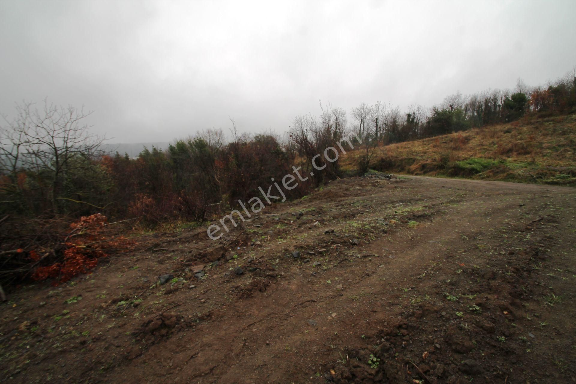 Gölcük Halıdere 8.5 Dönüm Yolu Açılmış Kestanelik Satılık Arsa - Görsel 29